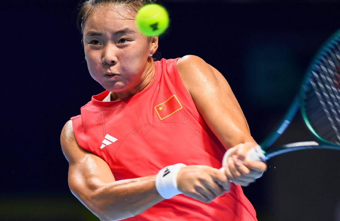 实习生, 合会杯 实习生, 合会杯